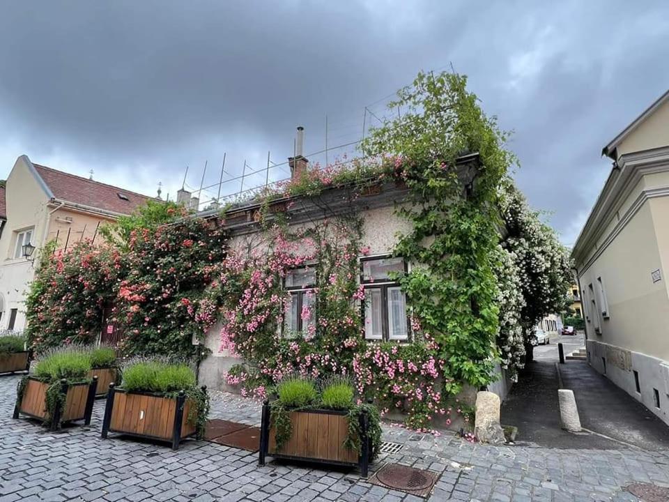 Downtown Romantic Székesfehérvár 외부 사진